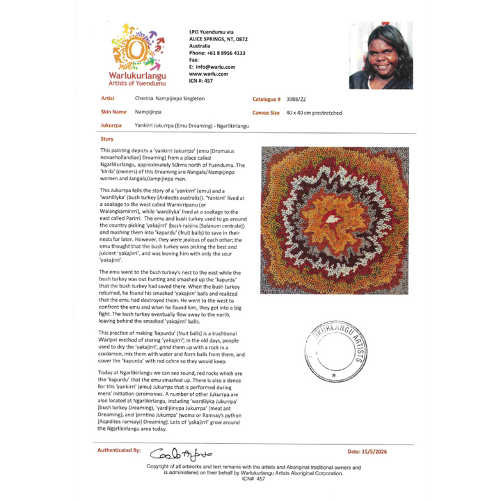 Painting Cherina Nampijinpa Singlton/Yankirri Jukurrpa/Emu Dreaming