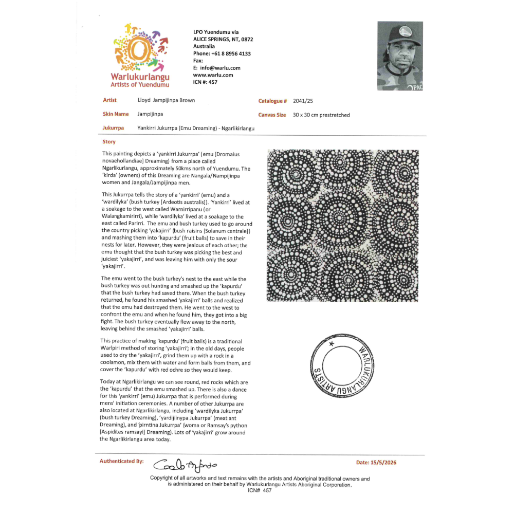 Painting Lloyd Jampijinpa Brown/Yankirri Jukurrpa/Emu Dreaming