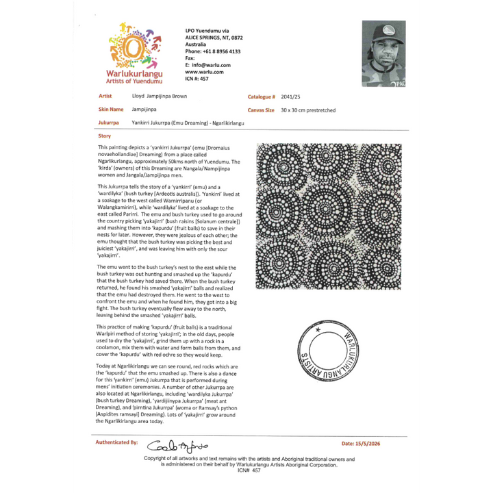 Painting Lloyd Jampijinpa Brown/Yankirri Jukurrpa/Emu Dreaming